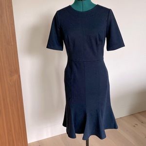 Banana Republic Navy Twill Fit & Flair Dress with Back Button Details
